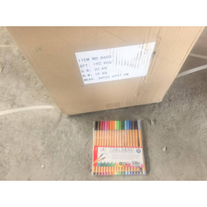 8605*CX192 CANETA PONTA FINA 18 CORES